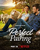 A Perfect Pairing 2022 Hindi Dubbed 480p 720p Filmy4web