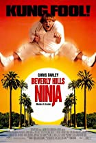 Beverly Hills Ninja 1997 Hindi Dubbed 480p 720p Filmy4web