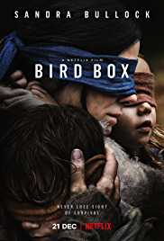 Bird Box  Eng Subs 480p BluRay 300MB 