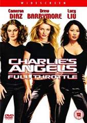 Charlies Angels 2  2003 300MB Dual Audio Hindi 480p 