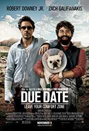 Due Date  2010 Hindi Dubbed 480p BluRay 300MB 