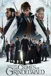 Fantastic Beasts 2  2018 300MB Dual Audio Hindi 480p 