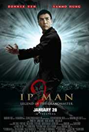 Ip Man 2 2010 Dual Audio Hindi 480p 300MB Filmy4web