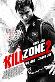 Kill Zone 2  Hindi Dubbed 480p BluRay 300MB 