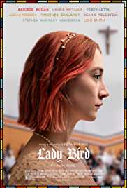 Lady Bird 2017 Dual Audio Hindi 480p 300MB Filmy4web