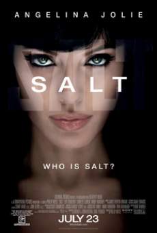 Salt  2010 300MB Hindi Dual Audio 480p Filmy4web