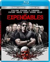 The Expendables  2010 300MB Dual Audio Hindi 480p 