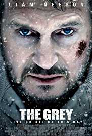 The Grey 2011 Hindi Dubbed 300MB 480p Filmy4web