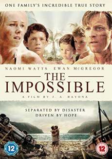 The Impossible 2012 Dual Audio Hindi 480p 300MB Filmy4web