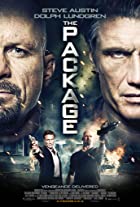 The Package 2013 Hindi Dubbed 480p 720p Filmy4web