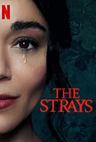 The Strays 2023 Hindi Dubbed 480p 720p 1080p Filmy4web