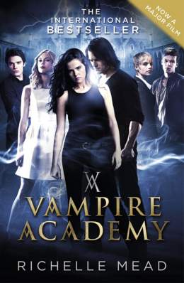 Vampire Academy 2014 Dual Audio Hindi 480p 300MB Filmy4web