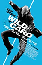 Wild Card 2015 Hindi Dubbed 480p 720p Filmy4web