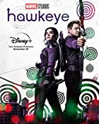 Hawkeye All Seasons Hindi 480p 720p HD Download Filmy4web  